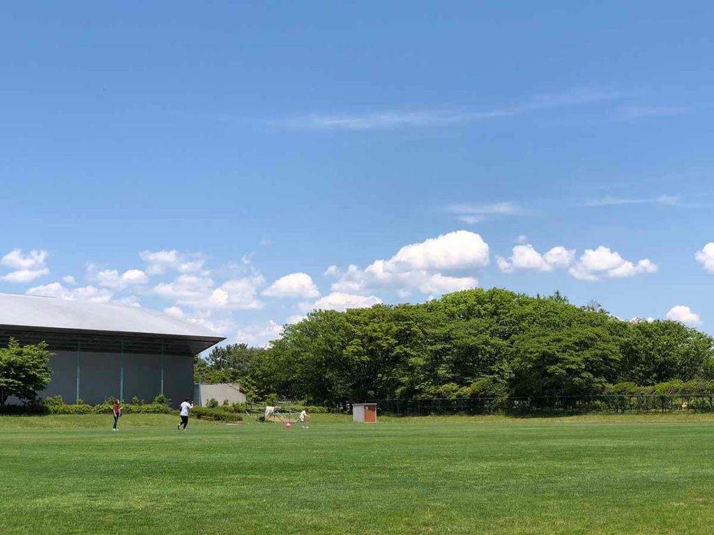 土門拳記念館の芝生