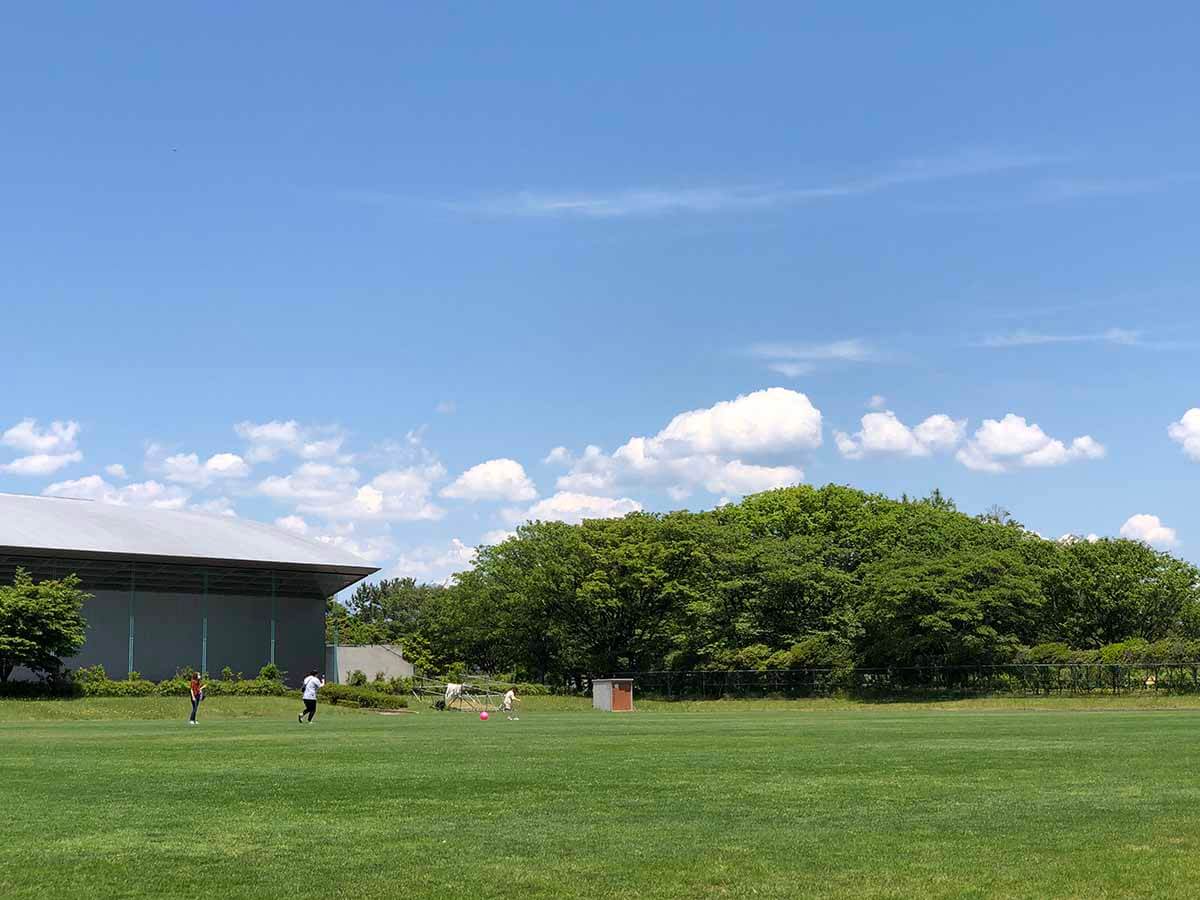 土門拳記念館の芝生